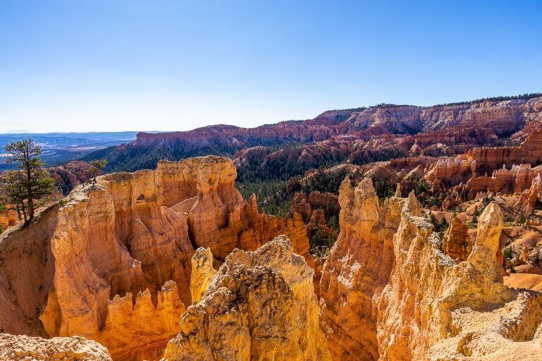 Staggering landscape of sandstone hoodoos in utah amphitheater descending the best hike in bryce canyon national park queens garden navajo loop trail