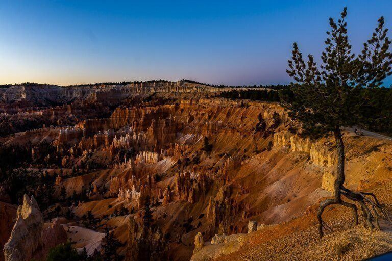 Amazing blues and purples of civil twilight just before sunrise over bryce canyon amphitheater with tree and exposed roots