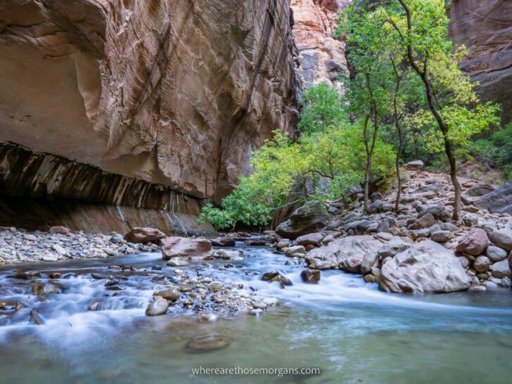 Virgin River with colorful tree leaves and rocks flanked by towering sandstone cliffs day hiking The Narrows Trail in Zion National Park Utah