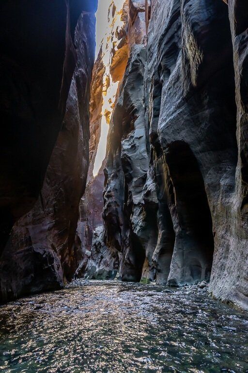 Exactly How To Day Hike The Narrows Bottom Up In Zion