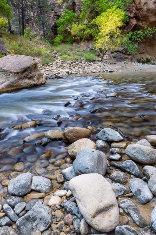 Beautiful photography inside zion national park the narrows hiking trail of smooth stones silky water and green yellow trees