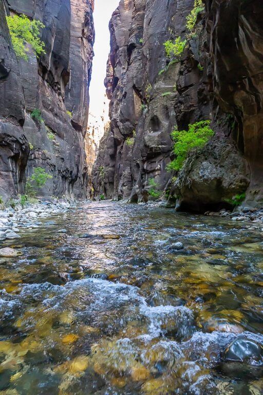 Incredible scenery inside utah national park river slot canyon tall walls and river