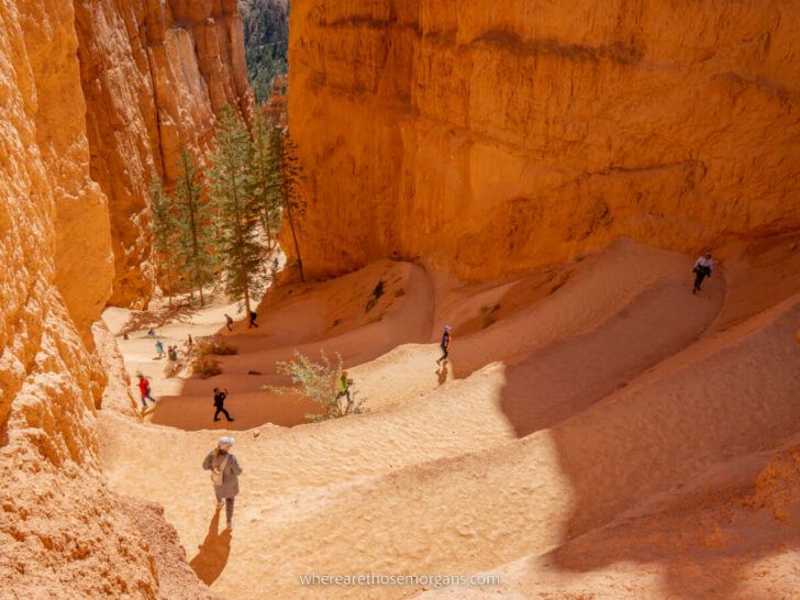 Best hike at Bryce Canyon national park in Utah is Queen's Garden Navajo Loop Trail with amazing switchbacks descending into an ocean of orange sandstone