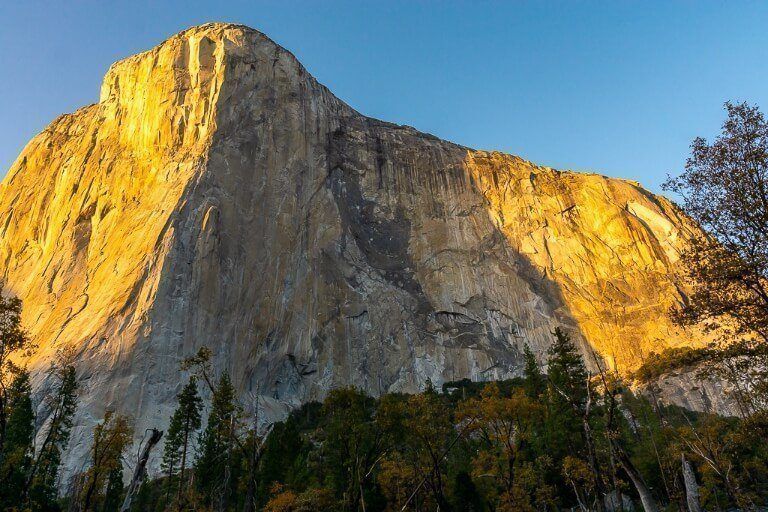 Stunning Yellows as El Capitan illuminates at sunrise wonderful yosemite national park photography