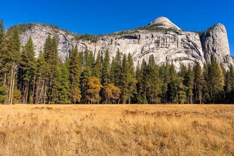 Stunning photography in Yosemite Valley of meadows with trees and granite domes blue sky background
