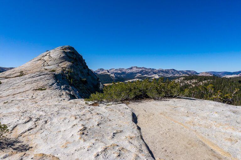 Lembert Dome summit view yosemite national park photography