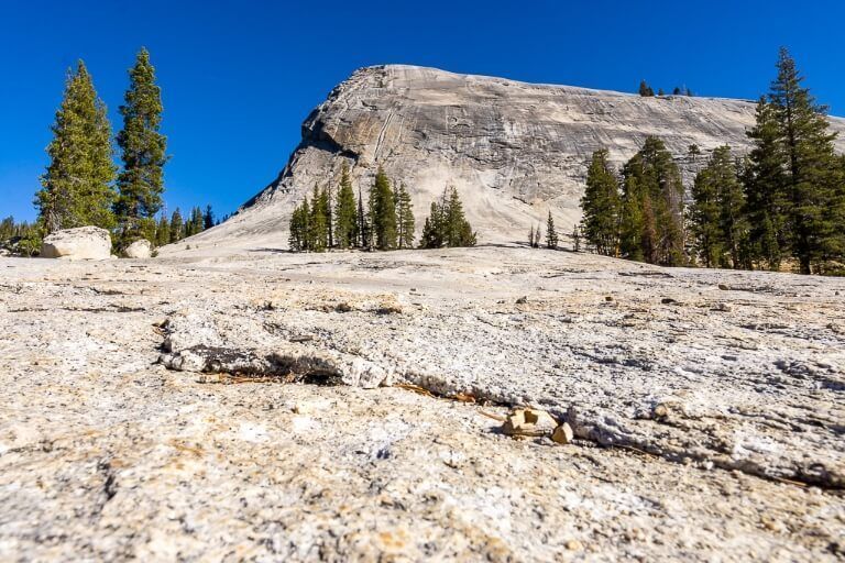 Lembert Dome from trailhead near parking lot