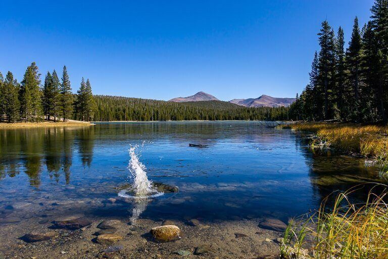 Rock landing in frozen lake surrounded by trees and granite domes in california