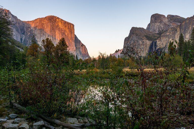 Yosemite photography Valley view el capitan at sunrise behind reeds in shadow