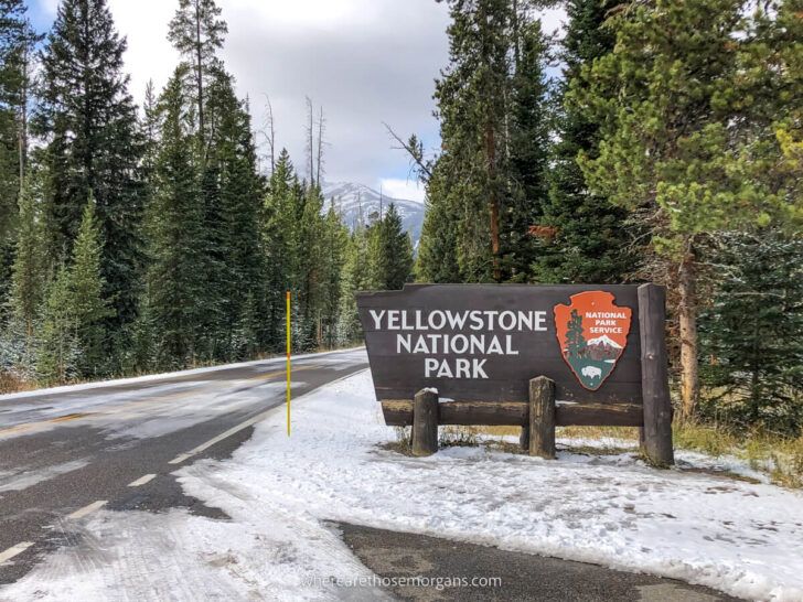 Best airports near Yellowstone national park close to each entrance Where Are Those Morgans