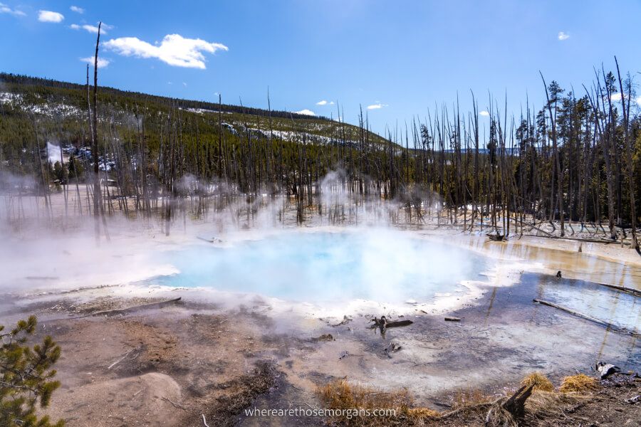 Blue colored water geyser billowing steam on a clear day