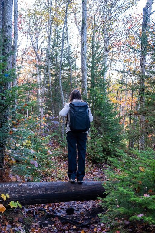 Woman standing on tree with peak design backpack in a forest