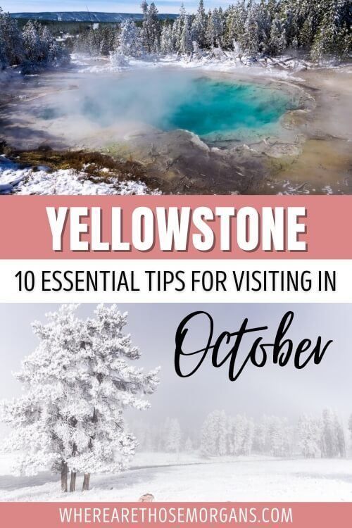 Yellowstone 10 essential tips for visiting in october