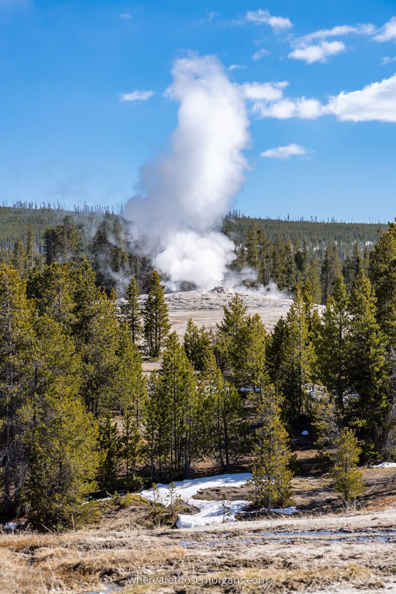 Old Faithful eruption from a distance walking through Upper Geyser Basin at Yellowstone