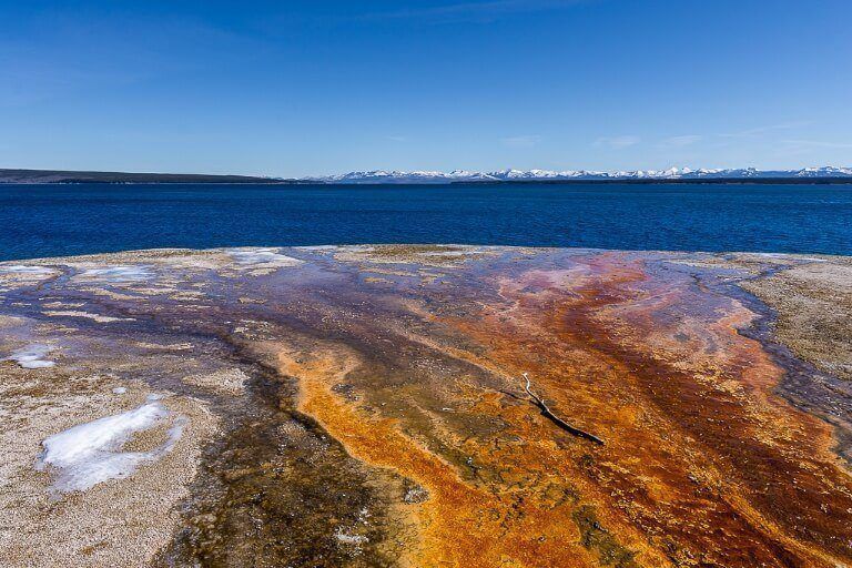 Vibrant colors in West Thumb Geyser Basin overlooking lake and mountains