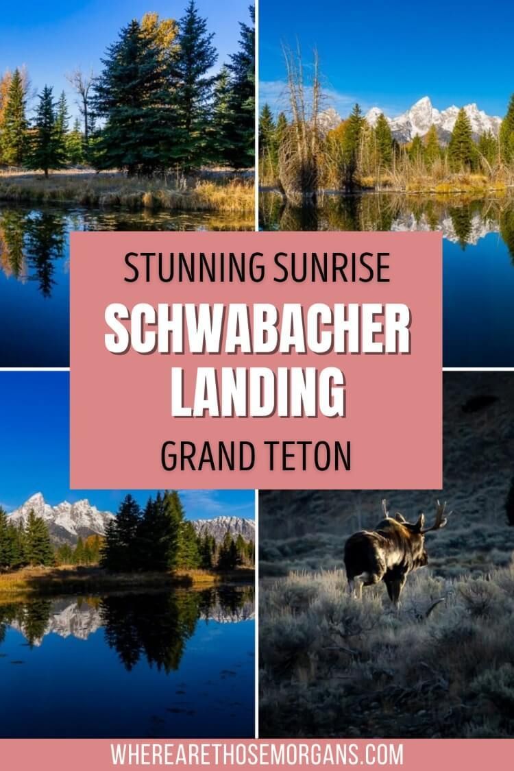 Stunning sunrise photography Schwabacher landing Grand Teton