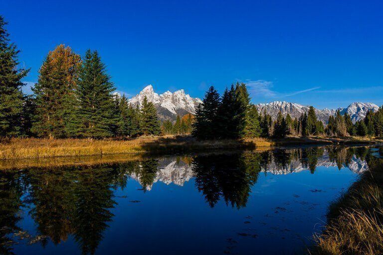Trees and mountains reflecting in snake river in wyoming
