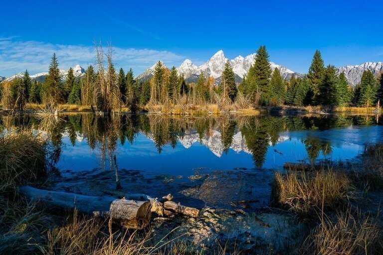 Trees logs and mountains reflecting on deep blue flat river surface