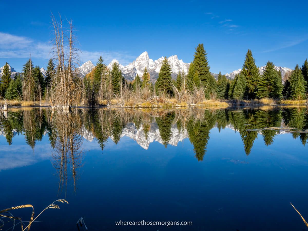 Photo of a perfectly still river with trees and snow capped mountains reflecting on a clear sunny morning moments after sunrise at Schwabacher Landing in Grand Teton National Park