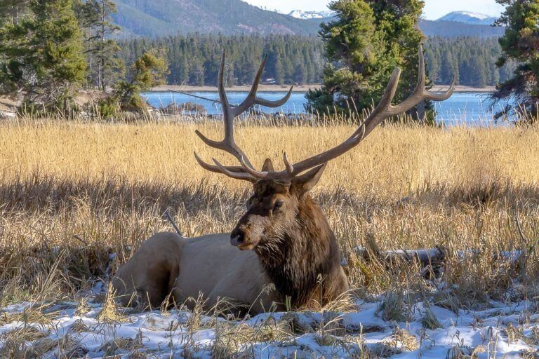 Yellowstone In October 10 Things You Need To Know Before Visiting