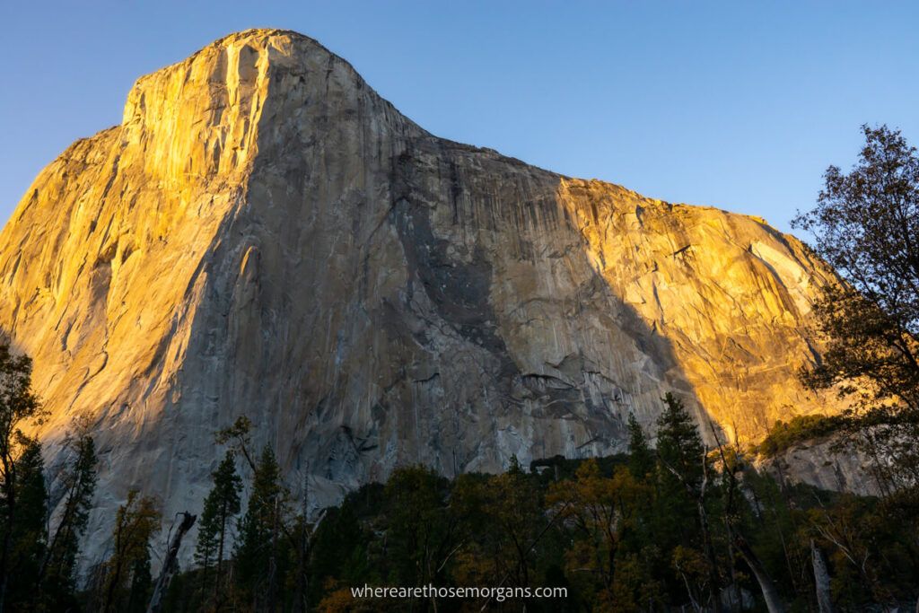 El Capitan glowing yellow at dawn in California