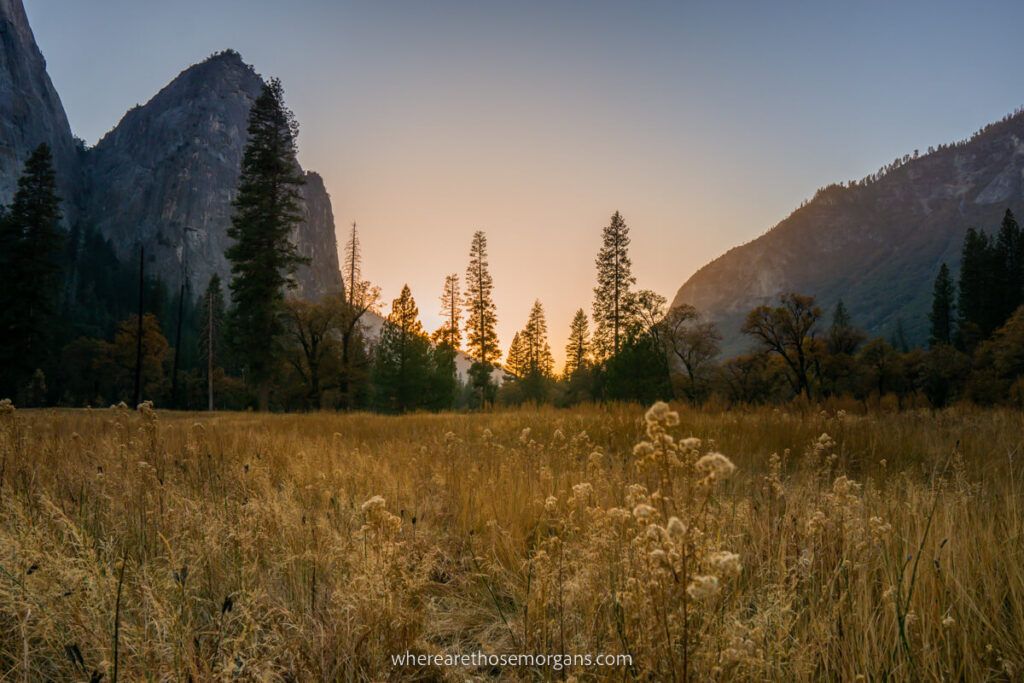 Yosemite Valley at sunset in fall with gorgeous yellow vegetation in the meadows