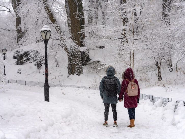 Central Park Winter Wonderland: 12 Best Places To Visit In The Snow