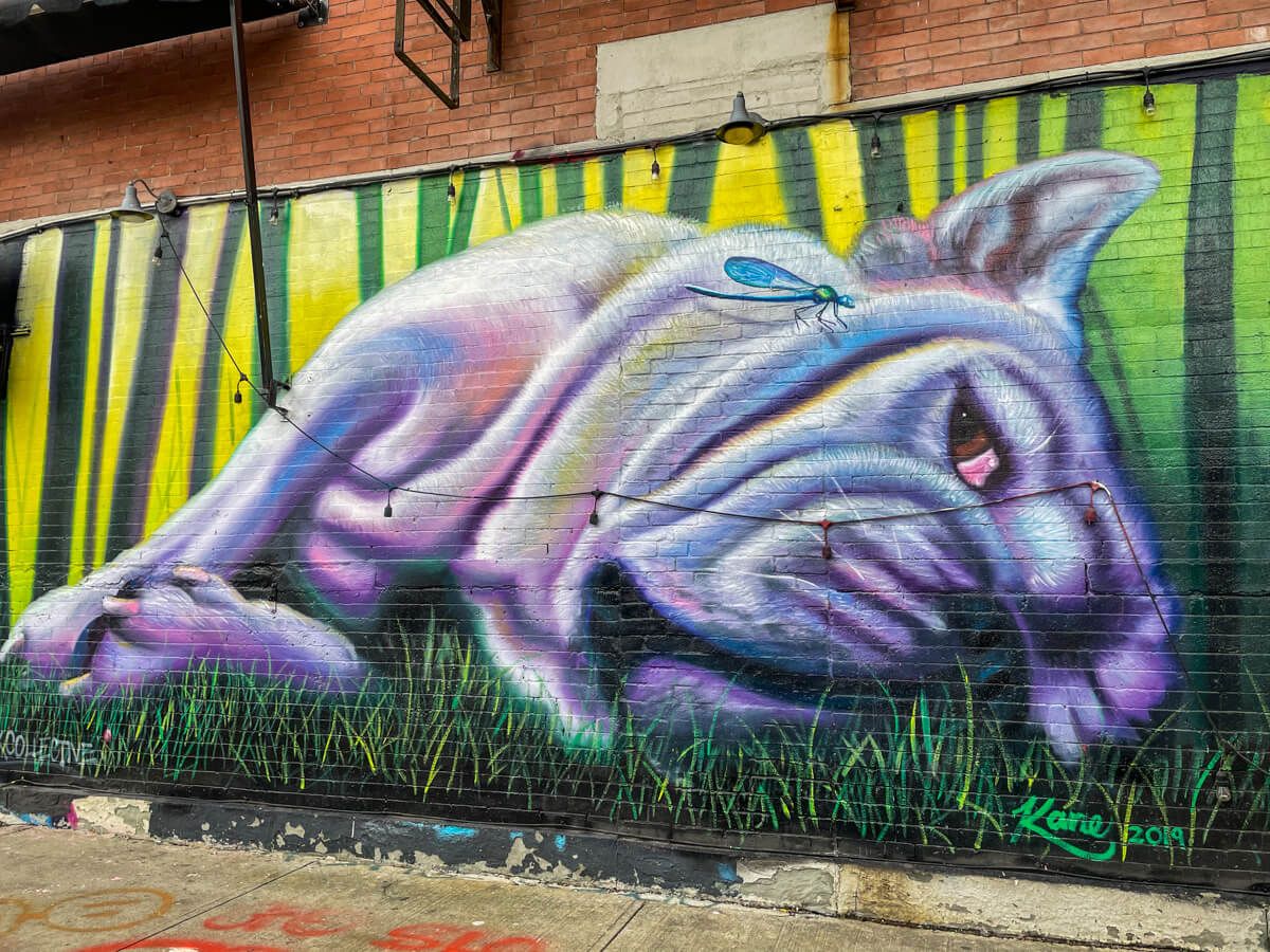French bulldog purple against green background wall art mural in Bushwick new york city