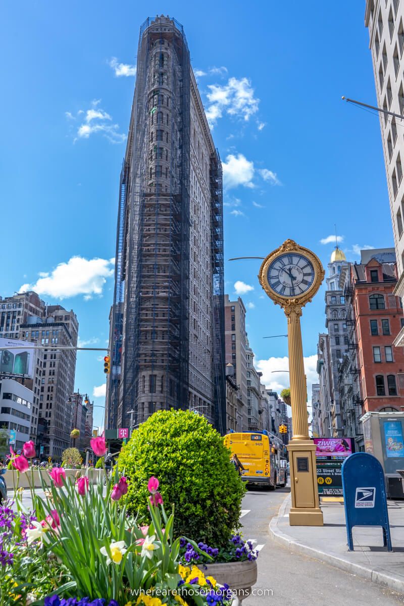 Flatiron building with gold clock and flowers on a sunny day in new york city