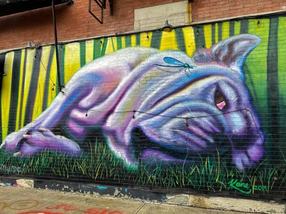 Bushwick Collective Art Streets in Brooklyn French Bulldog purple
