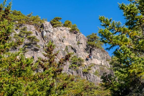 Acadia Beehive Trail Granite Rock Face Cliff Edge Hike Iron Ladder Rungs and Hikers from Afar surrounded by trees
