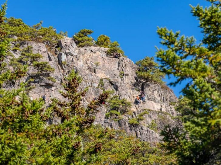 How To Hike The Awesome Beehive Loop Trail In Acadia National Park