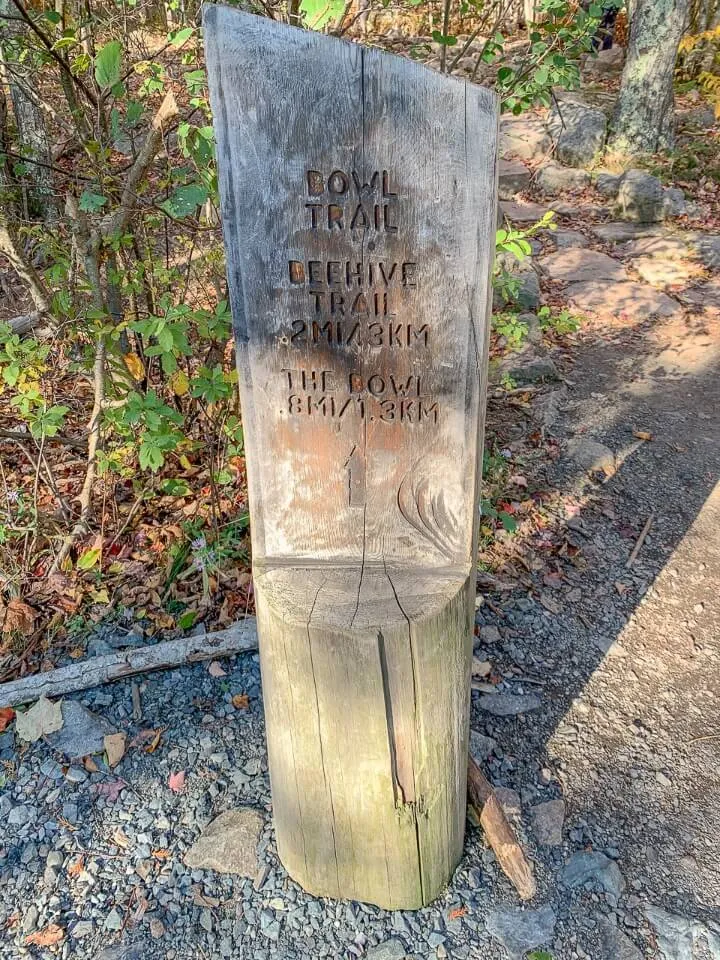 Wooden sign marker for Bowl Trail in Acadia on a lightly forested path