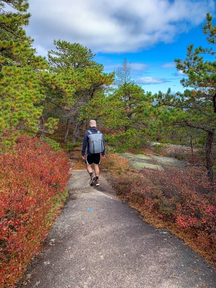 Man walking to summit of precipice trail hike in acadia national park through beautifully colored leaves in Fall