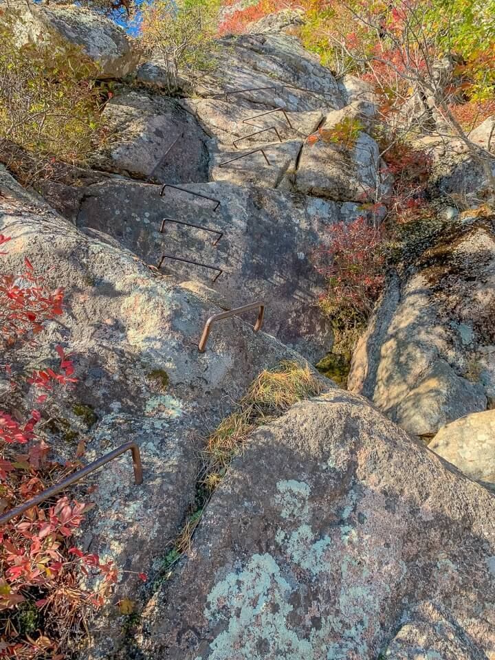 Lots of iron bars sticking out of a sheer granite rock face precipice trail in acadia national park