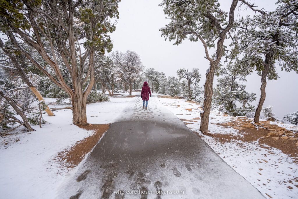 Person in winter coat walking through trees on a path in fog with snow on sides