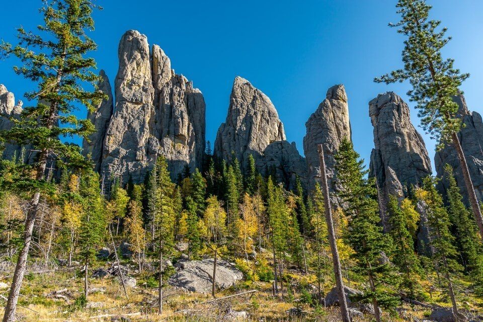 Cathedral Spires hike granite rocks green and yellow trees in black hills national forest south dakota
