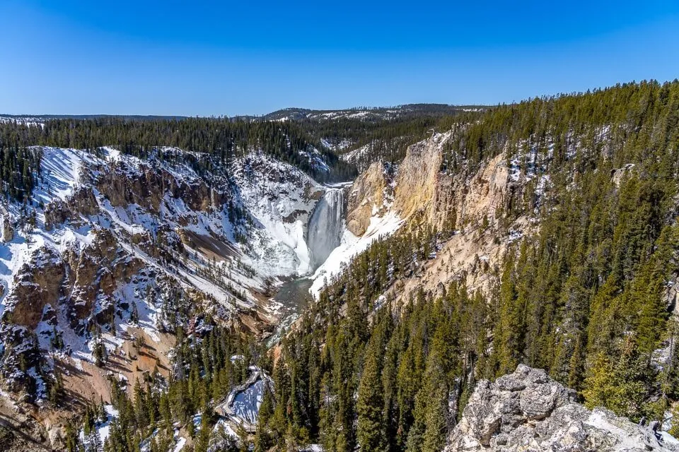 Grand Canyon of the Yellowstone and Lower Falls from Artist Point on a bright blue sunny day