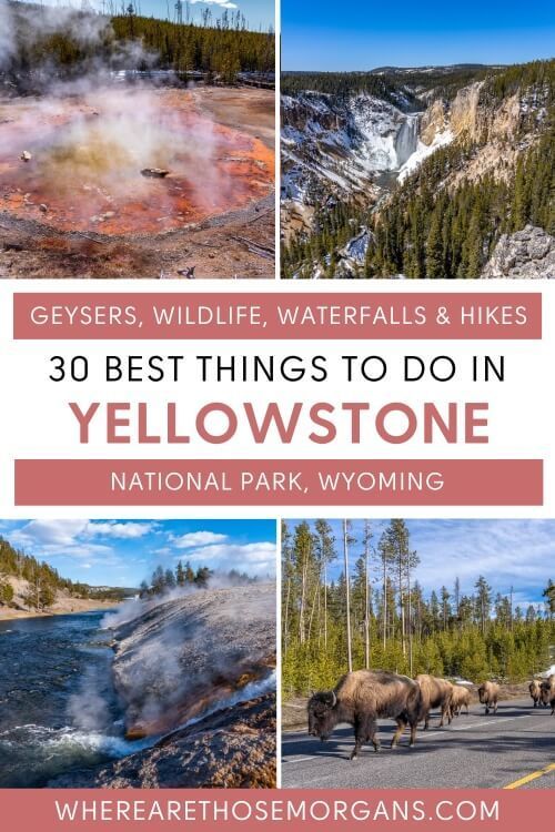 30 best things to do in yellowstone national park geysers wildlife waterfalls and hikes