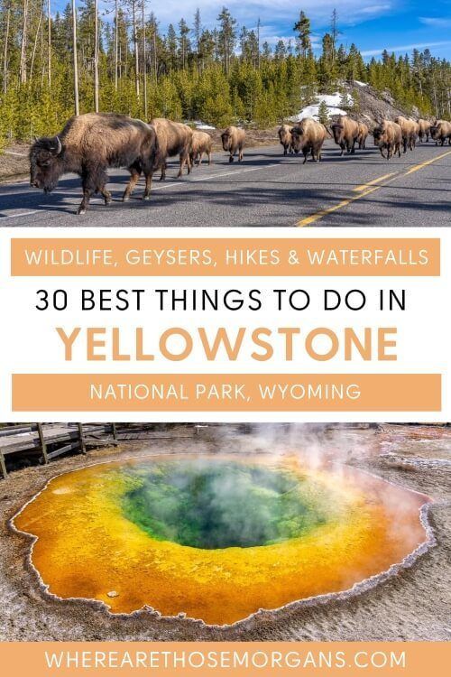wildlife geysers hikes and waterfalls 30 best things to do in yellowstone national park wyoming