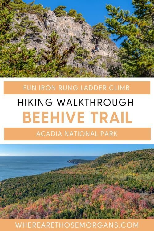 Fun iron rung ladder climb hiking walkthrough beehive trail acadia national park