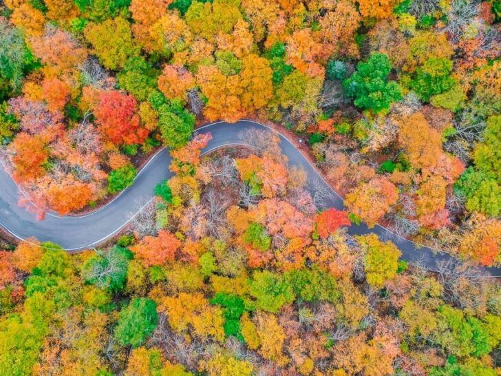 Best Things to do in Stowe Vermont Smuggles Notch Drone Photography Winding Road Surrounded by Stunning Fall Foliage Colors Where Are Those Morgans