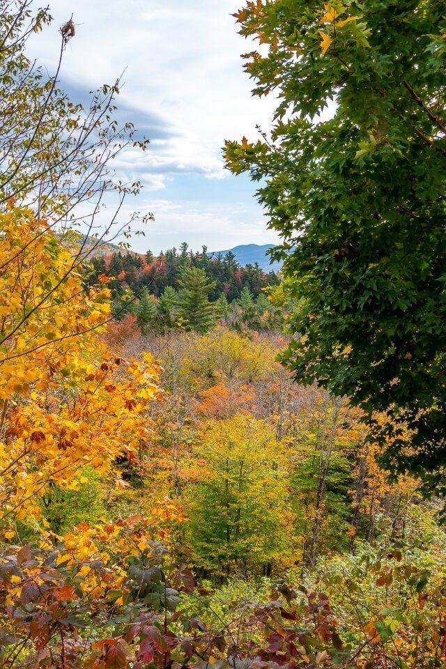 Gorgeous colors on trees leap peeping fall road trip kancamagus highway NH