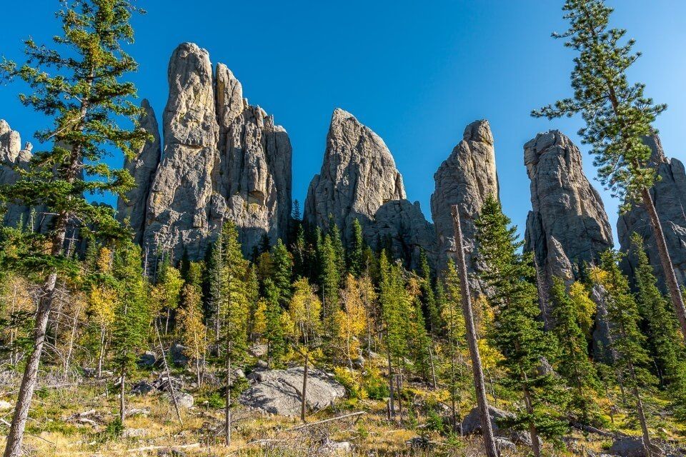 Stunning needle like granite rocks with ponderosa pine trees green and yellow on a south Dakota road trip itinerary