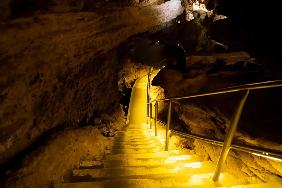 Wind Cave National Park steps lit up yellow