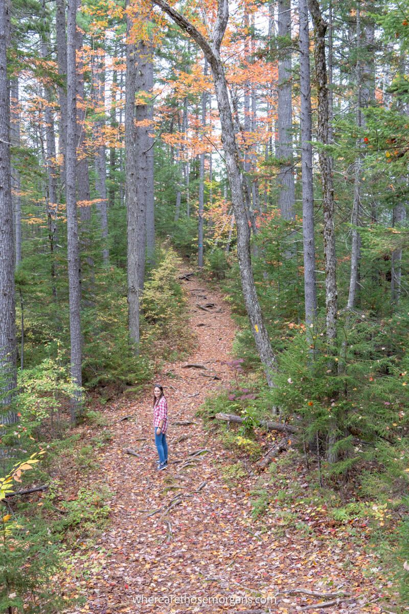 Hiker in a shirt walking through a forest near the Kancamagus Highway in New Hampshire
