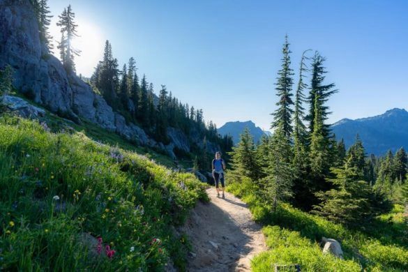 10 Important Things To Bring On A Day Hike: Day Hiking Essentials