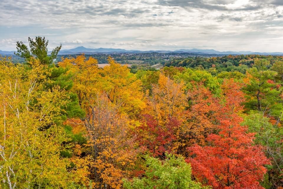 Beautiful and radiant fall foliage colors in trees with Burlington VT town in the distance