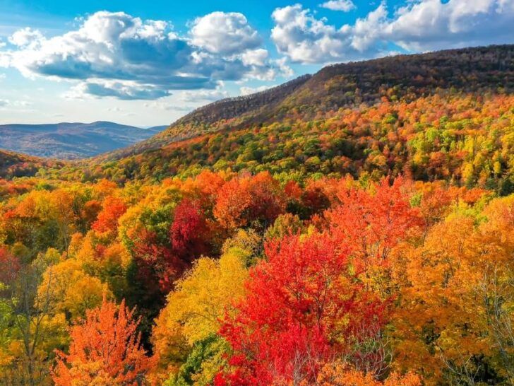 Stunning fall foliage colors rolling hills manchester VT green mountains drone photo where are those morgans