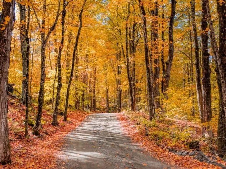 New England Fall Road Trip Itinerary: 10 Stunning Stops